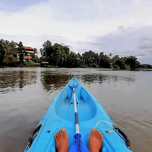 Bed & Breakfast Pearl Spot